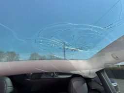 
TESLA MODEL Y PERFORMANCE, 2022 (2021) full									