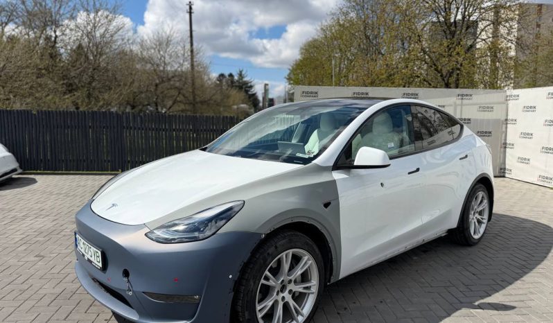 
TESLA MODEL Y LR DM, 2021 (2020) full									