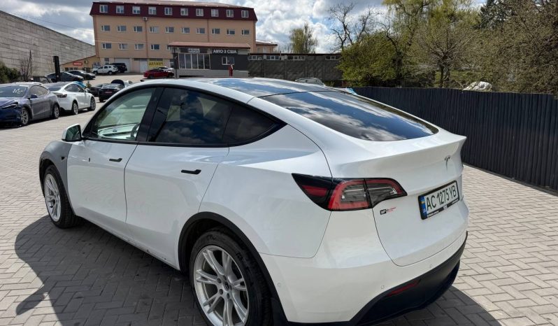 
TESLA MODEL Y LR DM, 2021 (2020) full									