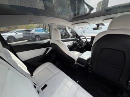 
TESLA MODEL Y LR DM, 2020 full									