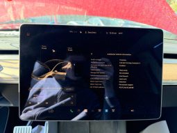 
TESLA MODEL Y PERFORMANCE, 2022 (2021) full									