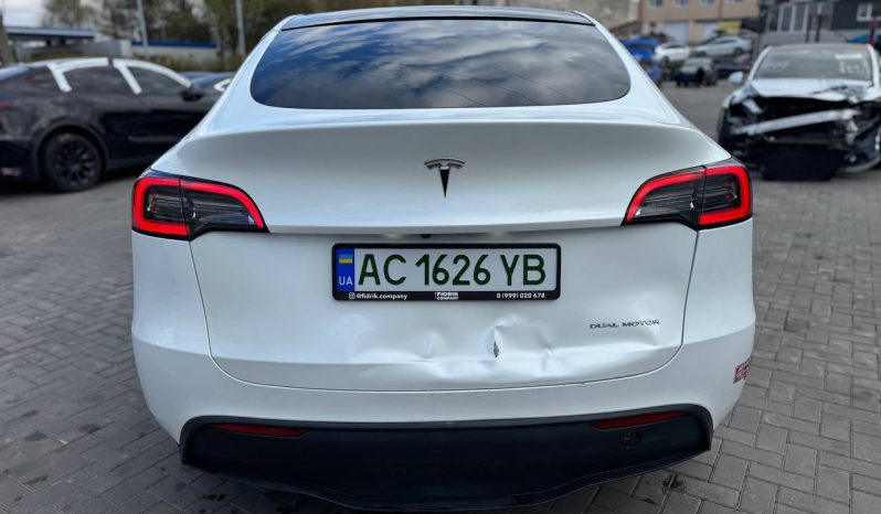 
TESLA MODEL Y LR DM, 2023 (2022) full									