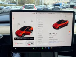 
TESLA MODEL Y LR DM, 2023 (2022) full									