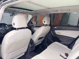 
VOLKSWAGEN TIGUAN SEL, 2018 (2017) full									