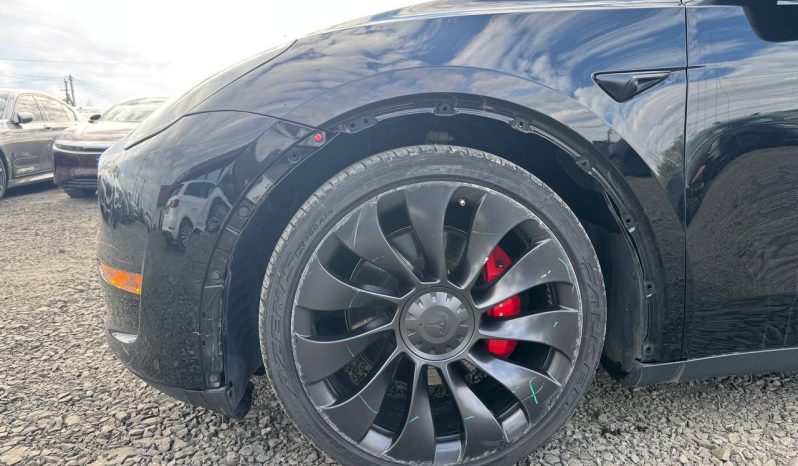 
TESLA MODEL Y PERFORMANCE, 2021 (2020) full									