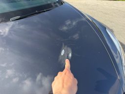 
TESLA MODEL 3 LR DM, 2022 full									