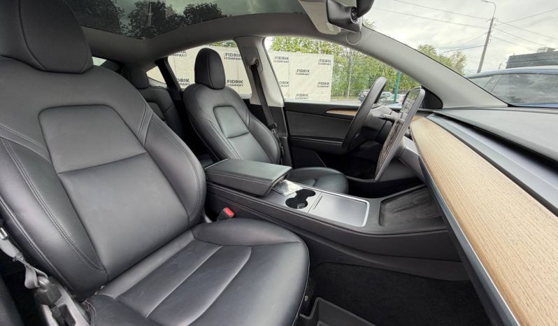 
TESLA MODEL Y LR DM, 2023 (2022) full									