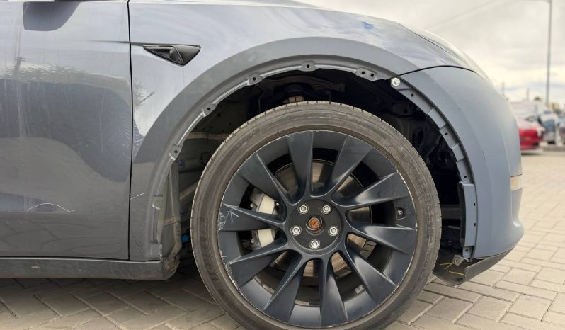 
TESLA MODEL Y LR DM, 2023 (2022) full									