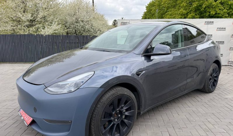 
TESLA MODEL Y LR DM, 2023 (2022) full									