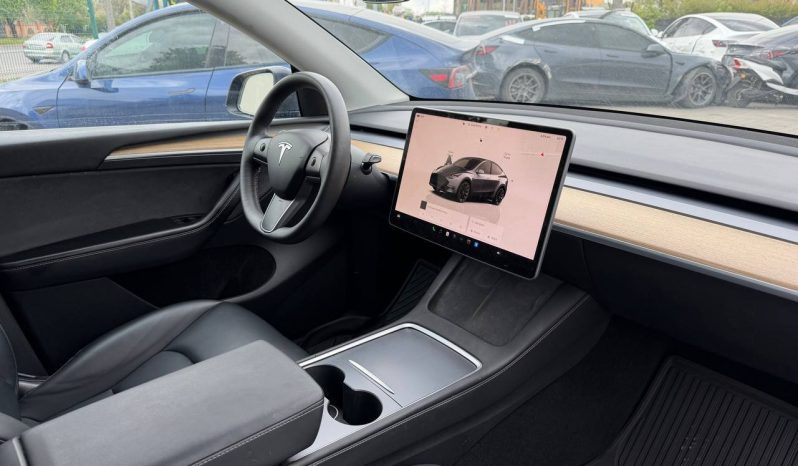 
TESLA MODEL Y LR DM, 2023 (2022) full									