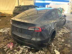 TESLA MODEL Y LR DM, 2021 (2020)