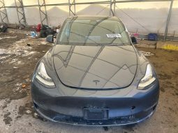 TESLA MODEL Y LR DM, 2021 (2020)