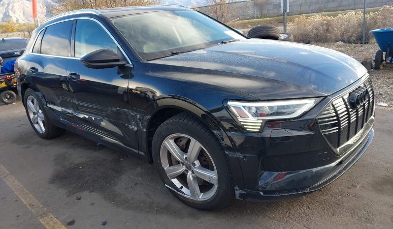 
AUDI E-TRON PREMIUM PLUS, 2019 full									