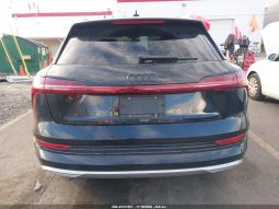 
AUDI E-TRON PREMIUM PLUS, 2019 full									