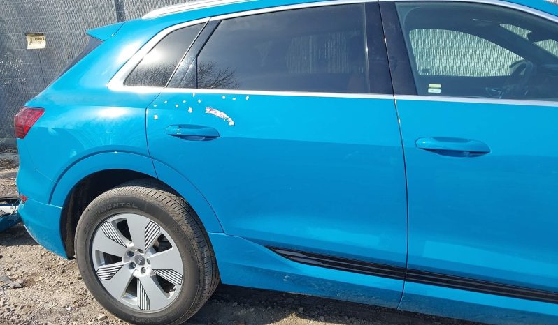 
AUDI E-TRON PREMIUM PLUS, 2019 full									