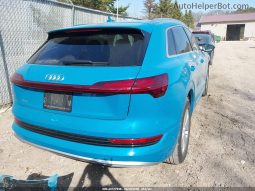 
AUDI E-TRON PREMIUM PLUS, 2019 full									