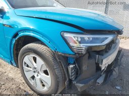 
AUDI E-TRON PREMIUM PLUS, 2019 full									