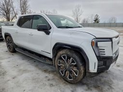 2025 GMC SIERRA DENALI, 2025 (2024)