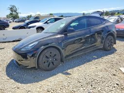 ESLA MODEL Y LR DM, 2022 (2021)