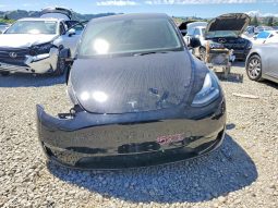 
ESLA MODEL Y LR DM, 2022 (2021) full									