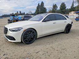 MERCEDES-BENZ S 580 4MATIC, 2022 (2021)