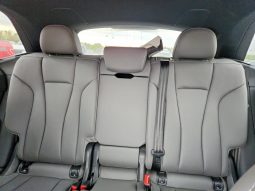 
AUDI Q8 PREMIUM PLUS, 2020 (2019) full									