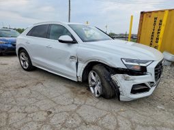 
AUDI Q8 PREMIUM PLUS, 2020 (2019) full									