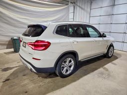 BMW X3 XDRIVE30I, 2020 (2019)