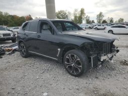 
BMW X5 SDRIVE 40I, 2024 full									