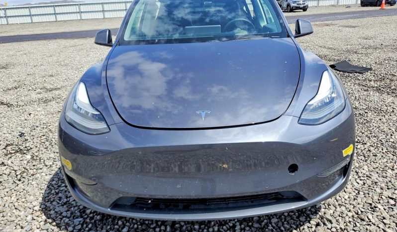
TESLA MODEL Y LR DM, 2021 (2020) full									