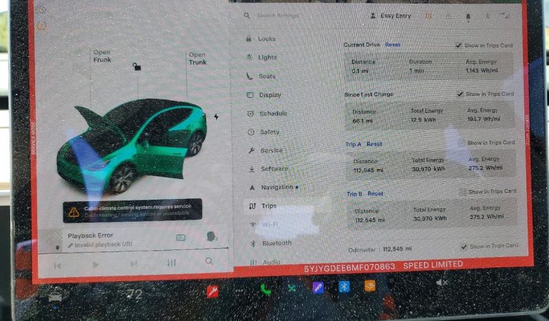 
TESLA MODEL Y LR DM, 2021 (2020) full									