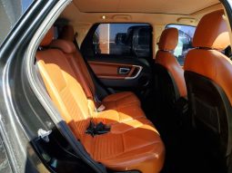 
LAND ROVER DISCOVERY HSE LUXURY, 2016 full									