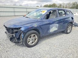 
HYUNDAI TUCSON SE, 2025 (2024) full									