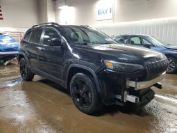 
JEEP CHEROKEE LATITUDE PLUS, 2019 full									