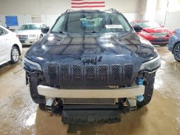 
JEEP CHEROKEE LATITUDE PLUS, 2019 full									