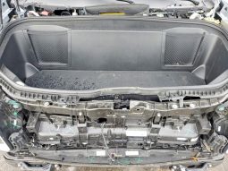 
RIVIAN R1S ADVENTURE, 2025 (2024) full									