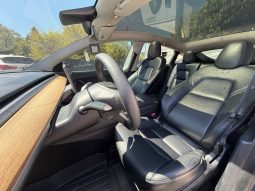 
TESLA MODEL Y LR DM, 2020 full									