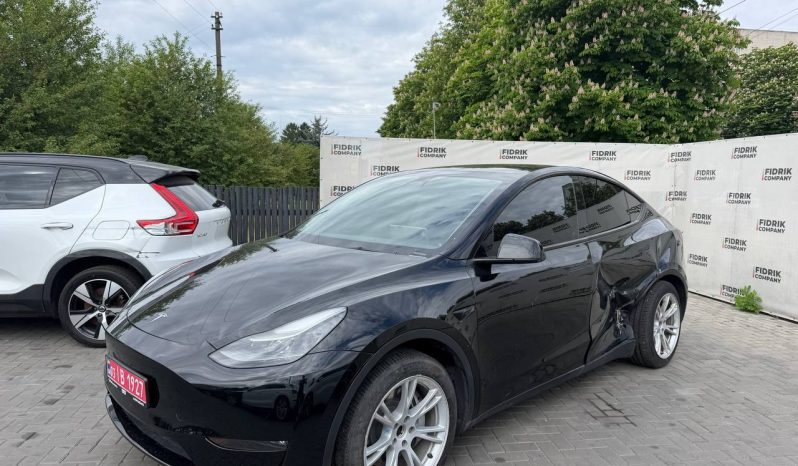 
TESLA MODEL Y LR DM, 2023 (2022) full									