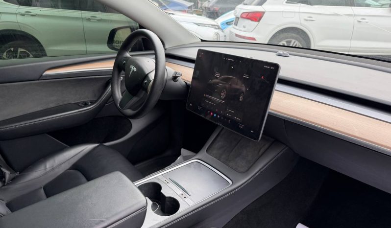 
TESLA MODEL Y LR DM, 2023 (2022) full									