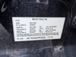 
TESLA MODEL Y LR DM, 2023 (2022) full									