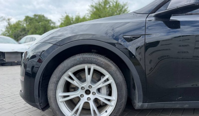 
TESLA MODEL Y LR DM, 2023 (2022) full									