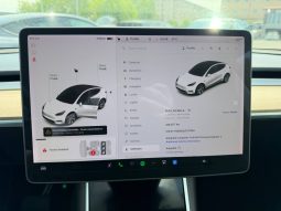 
TESLA MODEL Y LR DM, 2020 full									