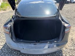 
TESLA MODEL 3 SR+ RWD, 2021 (2020) full									