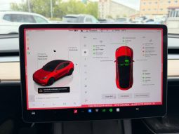 
TESLA MODEL Y LR DM, 2022 full									