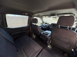 
FORD F150 SUPERCREW, 2022 full									
