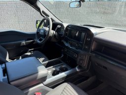 
FORD F150 SUPERCREW, 2022 full									