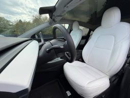 
TESLA MODEL Y LR DM, 2020 full									