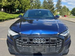 
AUDI Q8 PREMIUM PLUS S-LINE, 2019 (2018) full									