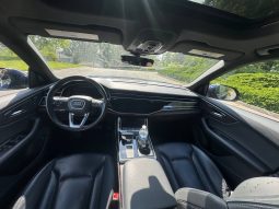 
AUDI Q8 PREMIUM PLUS S-LINE, 2019 (2018) full									