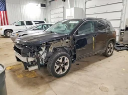 
JEEP COMPASS LIMITED, 2020 (2019) full									